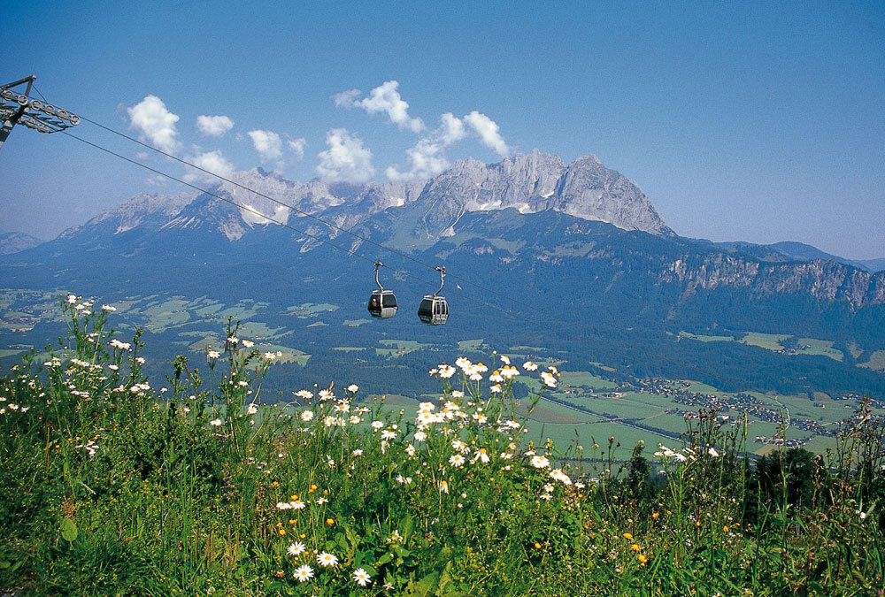 Gondeln der Bergbahn über der Blumenwiese, dahinter der Wilde Kaiser