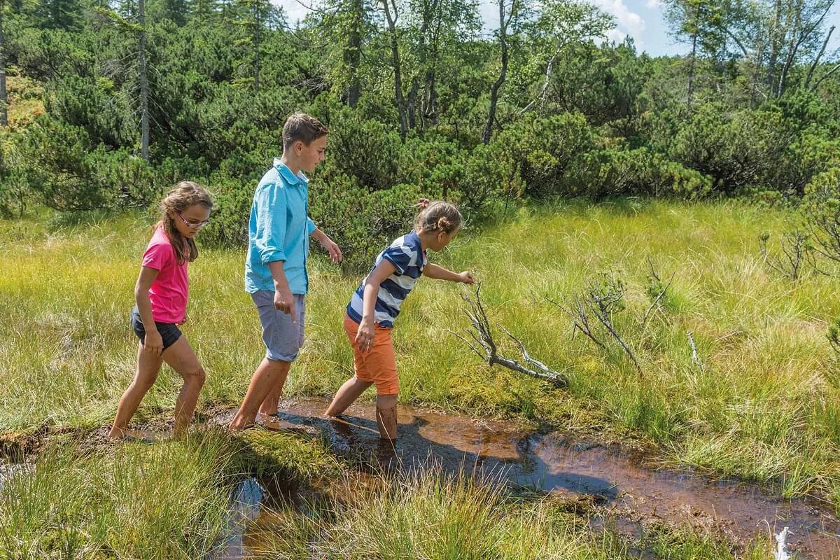 Kinder stapfen durch das Moor am Wilden Kaiser