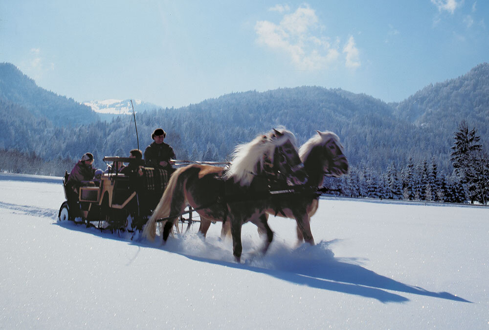 Winterliche Kutschenfahrt durch den Schnee