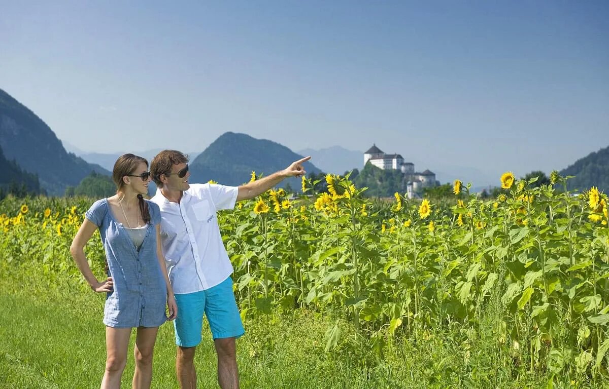 Blumenwiese vor Kufstein