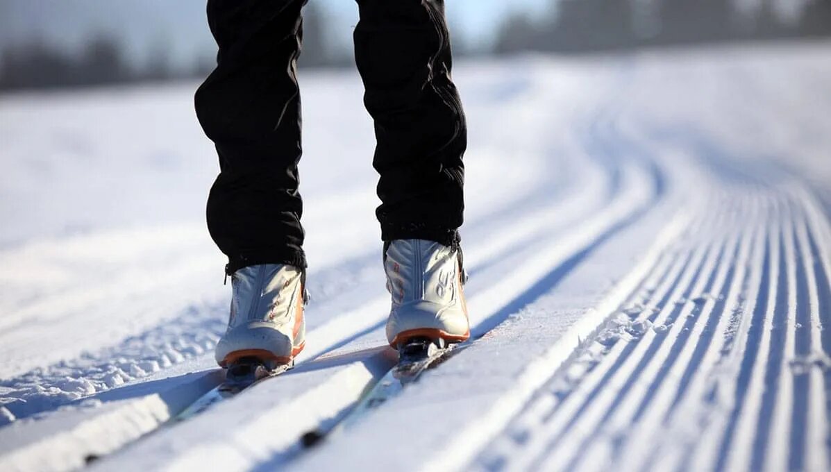 Loipe im Winter