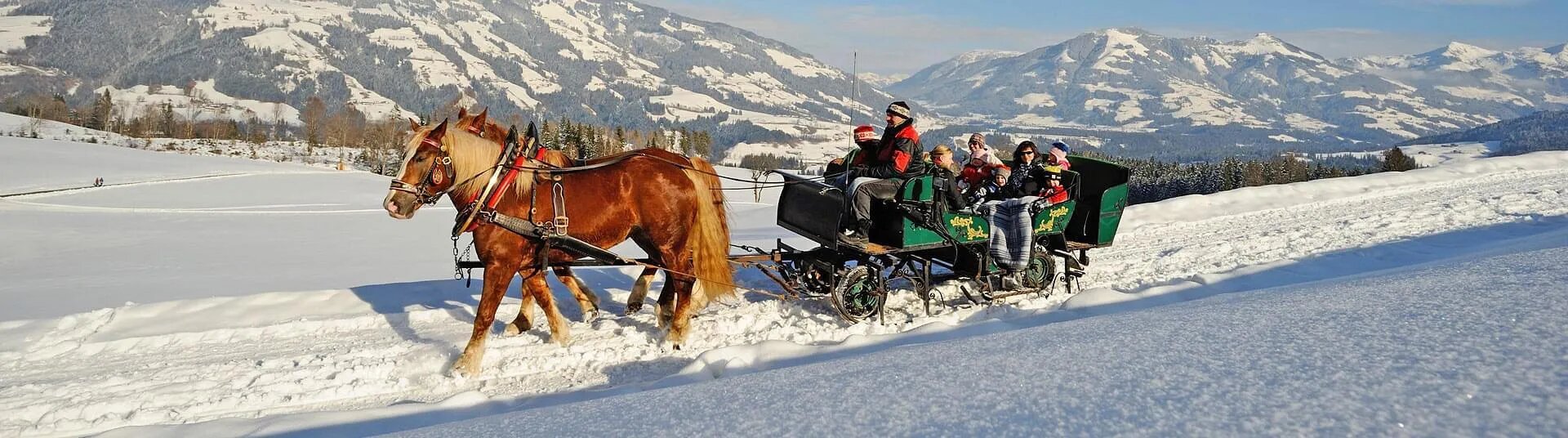 Pferdeschlittenfahrten in den Kitzbüheler Alpen